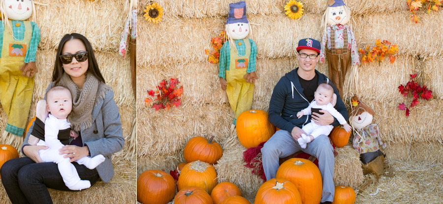 pumpkin patch 2013