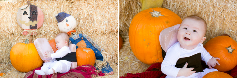 spam musubi baby costume pumpkin patch
