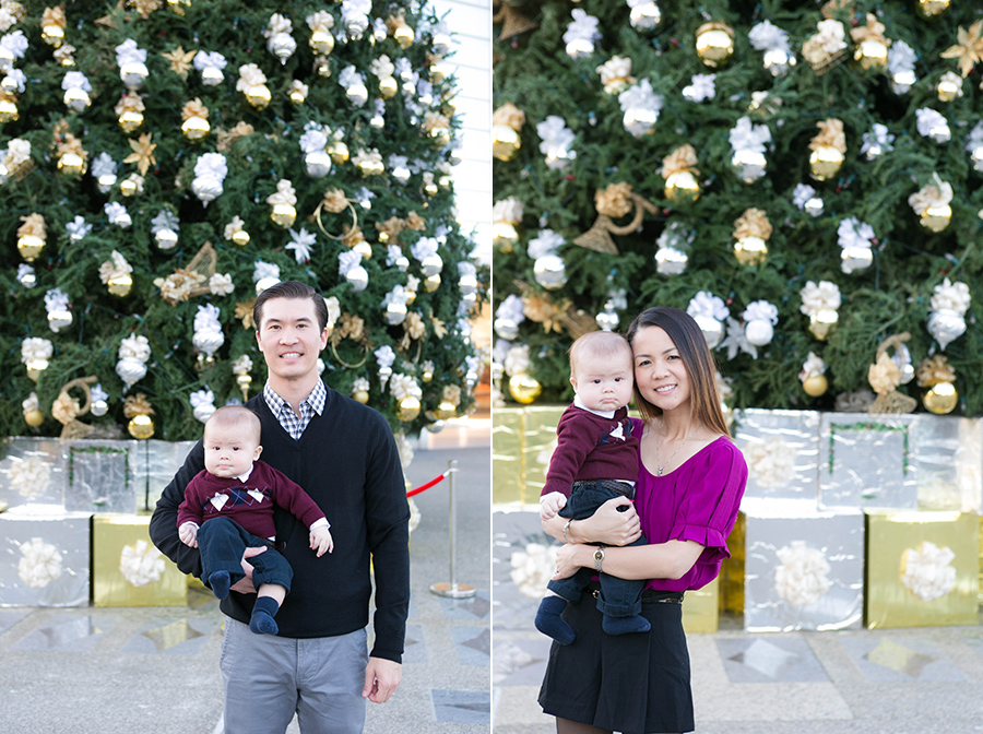 christ cathedral 2013 christmas tree