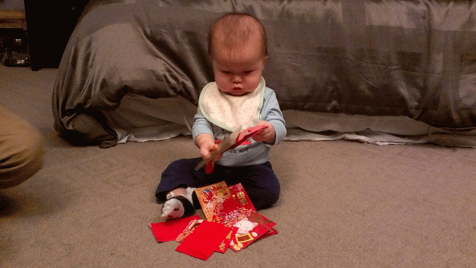 34 week old baby boy lunar new year 2014